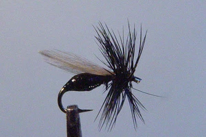 10 x Mouche de peche Sèche Fourmi Noir F. D H12/14/16/18 dry fly ant black mosca - Photo 1/1