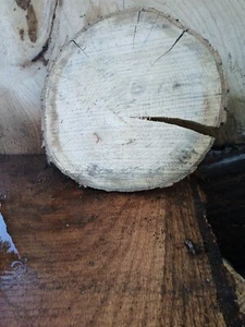 LIVE EDGE COOKIE HARD WOOD SLAB DRIED OAK WALNUT CHERRY NATURAL CENTERPIECE USA - Picture 1 of 24