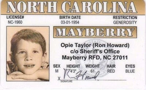 Opie Taylor / RON HOWARD Andy Griffith show novelty License FREE SHIPPING - Bild 1 von 1
