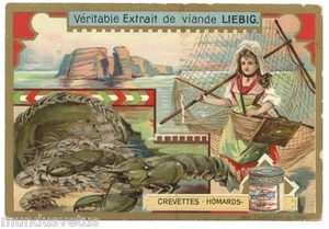 CHROMO. LIEBIG. CREVETTES. HOMARDS. - Picture 1 of 2