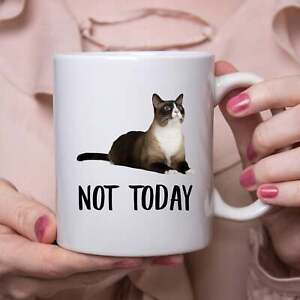 Funny Snowshoe Cat Black Fawn Not Today Cat Mug Lazy Gift For Cats Lovers Coffee