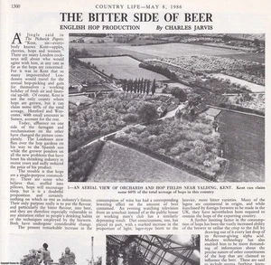 ENGLISH HOP PRODUCTION. SEVERAL PICTURES AND ACCOMPANYING TEXT, REMOVED FROM AN - Bild 1 von 1