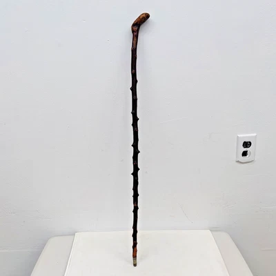 Bastón de madera de espino negro irlandés verdadero antiguo Shillelagh hecho a mano 33" Foto 1 de 4