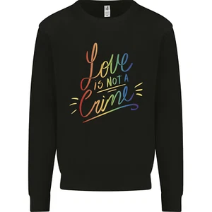 Love is Not a Crime LGBT Gay Awareness Kids Sweatshirt Jumper - Picture 1 of 97