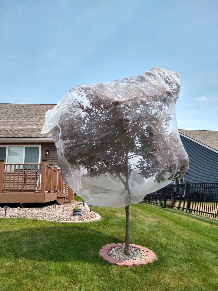 Red de jardín árbol frutal 10 x 10 con cremallera y cordón inferior Foto 1 de 1