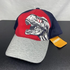 Jurassic Park T-Rex USA Flag Sunglasses Baseball Hat Cap Black Gymboree Snapback - Picture 1 of 11