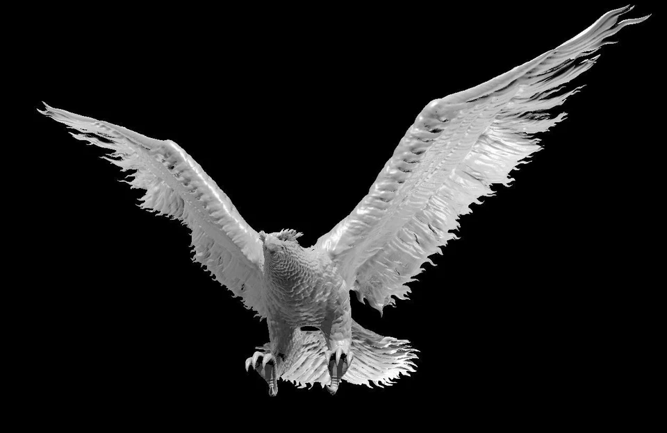 Phönix DnD - Bild 1 von 1