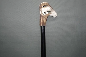 Classy Cane Walking Stick With Deer Antler Handle Lion - Picture 1 of 12