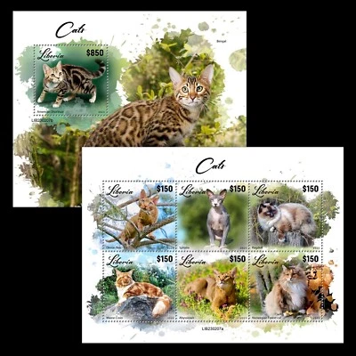 Estampillas de gatos abisinias bosque noruego gato esfinge MNH 2023 Liberia M/S + S/S Foto 1 de 3