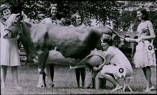 LG840 1966 Original Earl Ostroff Photo DAIRY ROYALTY DAY Boston Common Milk Cow