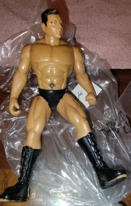 Dave Batista "The Animal" WWE Actionfigur 2005 - Bild 1 von 5