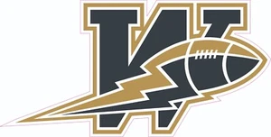 Blue/Gold Inspired Blue Bombers Full Size Football Helmet Decals - Picture 1 of 3
