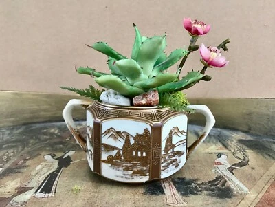 Antigua maceta Noritake Nippon azucarero con cactus verde y cereza púrpura B Foto 1 de 4