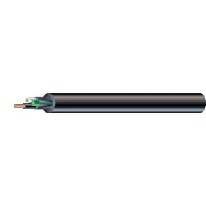 100 ft. 12/3 600-Volt CU Black Flexible Portable Power SOOW Cord - Picture 1 of 1