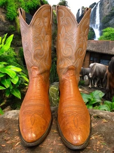 Dan Post USA Handmade 1999 DP2889 14-D Brandy Exotic Smooth Ostrich 843-10910 - Bild 1 von 11