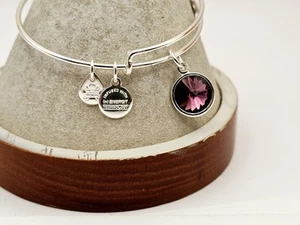 Alex Ani February Birthstone Swarovski Amythest Charm Bracelet Silver ✨️ - Picture 1 of 12
