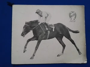 1973 JOCKEY CLUB ITALIANO ( 1880 ) _ CALENDARIO _ CAVALLI _ HORSES _ AUTOGRAFO. - Picture 1 of 5