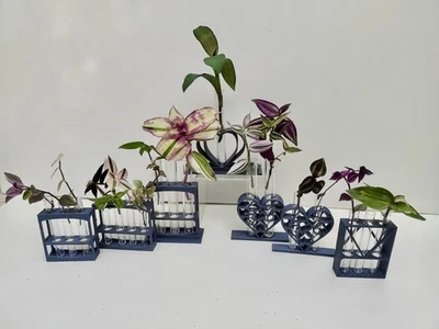 Grey Plant Propagation Stations + Tubes for Rooting Cuttings in different sizes - Image 1 of 4