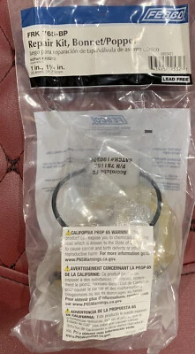 Kit de reparo de capota e poppet fabricante de equipamento original 1 polegada a 1-1/4 polegadas corpo Febco 1” 765 NOVO NA CAIXA - Imagem 1 de 4