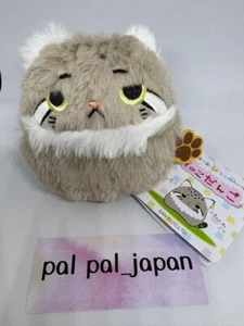 Pallas's cat Sanei Boeki Dango friends plush toy Manul cat H/3in Neko Dang New - Picture 1 of 13