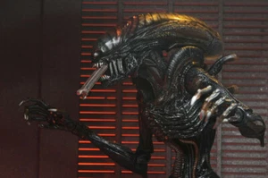 IN STOCK NECA - Alien Romulus Scorched Xenomorph Ult AF - Bild 1 von 9