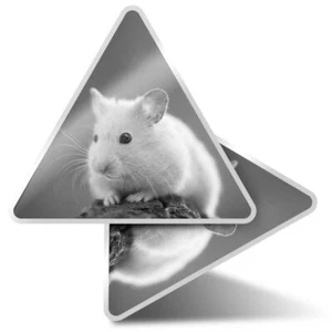 2 x Dreieck Aufkleber 10 cm - BW - Hamster Haustiere Nager #40961 - Bild 1 von 9