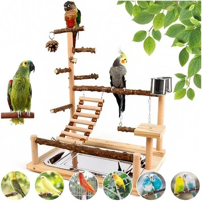 BYGYTYO Bird Playground Parrot Perch Stand Natural Wood Stands for Cockatiel Gym Playpen