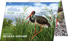 Chornobyl. Revival. The Black Stork 5 Hryven, 2024 in booklet
