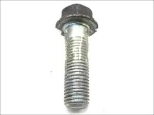 Bolt 31 Set - Picture 1 of 24