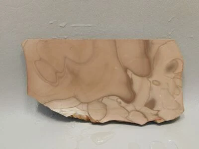 Willow Creek Picture Jasper Rough Rock Stone Slab Lapidary Idaho #O6 - Image 1 of 4