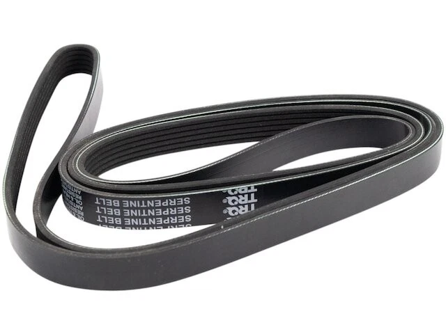 Cinturón multi costilla para GMC Sonoma 1996-1998 4,3 L V6 1997 FR824JQ Serpentine Belt Foto 1 de 1