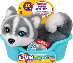 Little Live Pets My Really Real Puppy Mini Aurora - Imagen 1 de 6