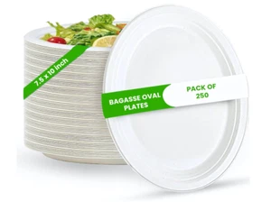 Oval Plates Disposable (10"250, Small) Ecofriendly Sugarcane bagasse by FPN - Picture 1 of 10