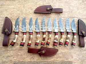 LOT OF 10 8 INCH HANDMADE DAMASCUS STEEL SKINNER KNIFE STAG\ANTLER W/SHEATH 1 - Picture 1 of 3