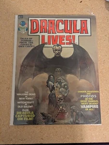 Dracula Lives #1 Higher Grade Boris Vallego Cover Marvel Monsters Group 1973 - Bild 1 von 7