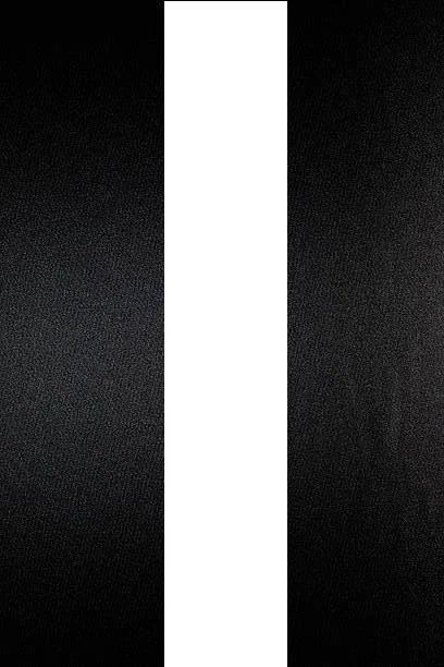 NEGRO SATINADO Capó Rayas Estilo Víbora 3m(10') x12.5cm(5") se adapta a CHRYSLER (01) - Imagen 1 de 1