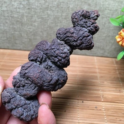 146g Top! Best Rare Natural  dung coprolite  Poop specimen  md3325 - Image 1 of 4