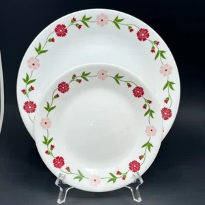 Corelle Spring Pink Plates set of 2 10.25 /6.5" Corning Dish Retro Vitrelle - Picture 1 of 4