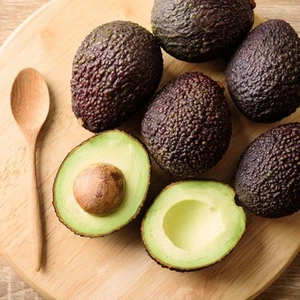 Grafted Hass Avocado (Persea americana) Live Fruit Tree (10in-2ft) - Picture 1 of 7