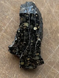 6 GRAMS METEORITE- CV3 - NWA 16302 - POLISHED END CUT - WOW! - Picture 1 of 3
