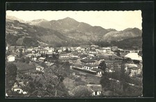 AK Arriondes, General view 1959 