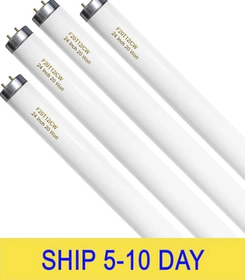 F20T12/CW 20 瓦灯泡 冷白光,24 英寸 T12 荧光灯管 20W Compat — 第 1/4 张图片