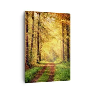 Wandbilder 50x70cm Leinwandbild Wald Baum Natur Groß Bilder Art Wanddeko - Bild 1 von 4