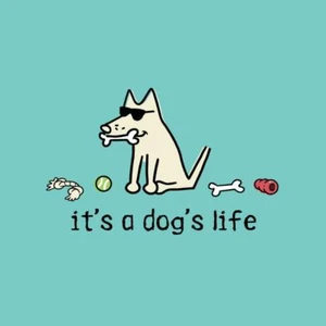 Teddy the Dog "It's a Dog's Life" Ladies V Neck T Shirt Choose Small - Picture 1 of 2