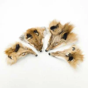 Genuine Various Animal Faces Fox Coyote Raccoon Skunk Muskrat Beaver - Picture 1 of 11