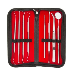 8er  Dental Set Instrument Zahnreinigung Zahnreinigungsset - Bild 1 von 7