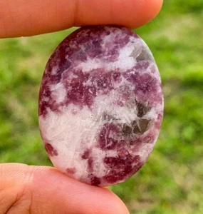 Lepidolite Palm Stone Worry Soap Stone Specimen Wicca Reiki Chakra Crystal - Foto 1 di 4