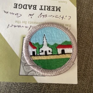 Citizenship in the Community (Silver) Current Plastic Back Merit Badge - Picture 1 of 2