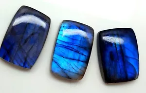 105.80Ct 100% Natural Blue Flashy Labradorite Cushion Cabochon Gemstone Lot SQ26 - Picture 1 of 4