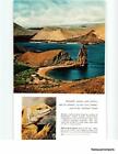 Print Ad 1959 Iguanas | Tortoise | Sea Lions | Ash-Heap Island | Bartolom?
